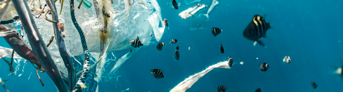 Ocean plastic visual